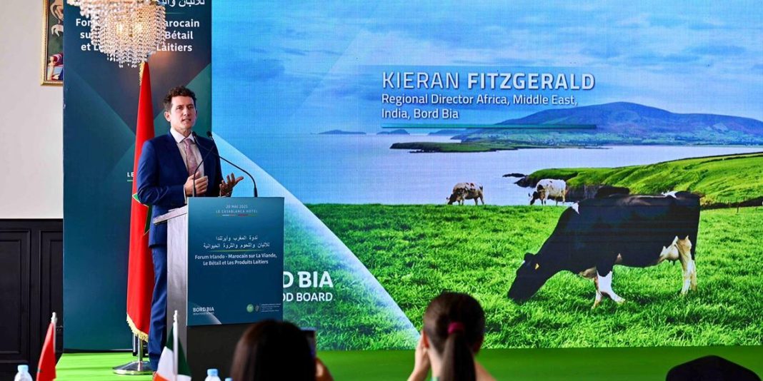 Bord_BIA_1200x600_web