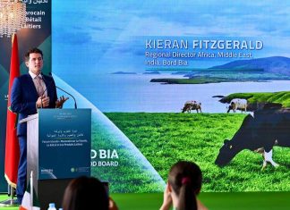 L’Irlande mise sur le Maroc pour ses exportations laitières