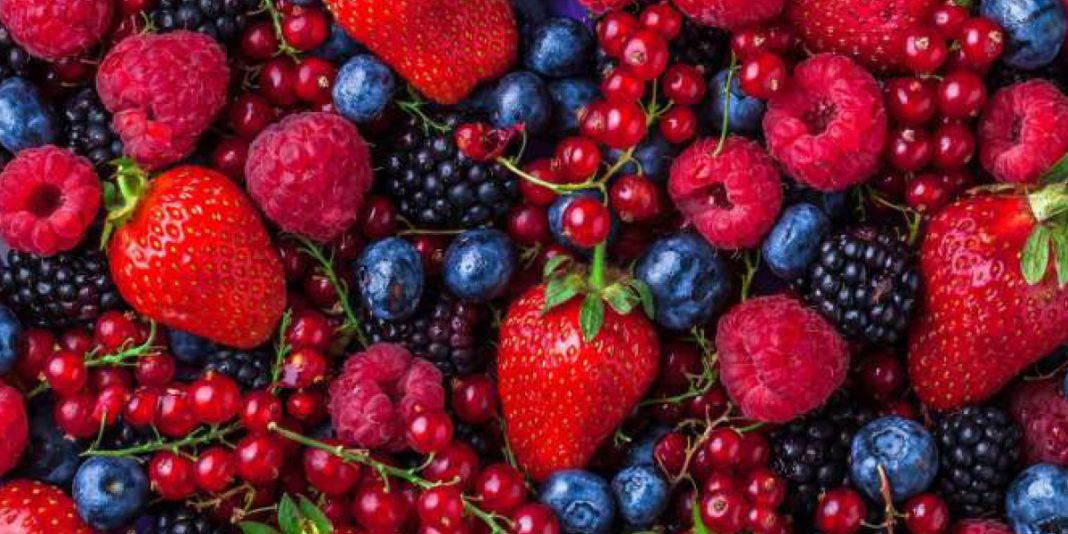 Fruits-rouges