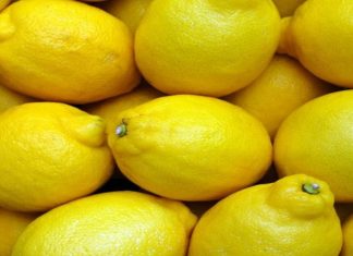 Les exportations de citrons marocains rebondissent