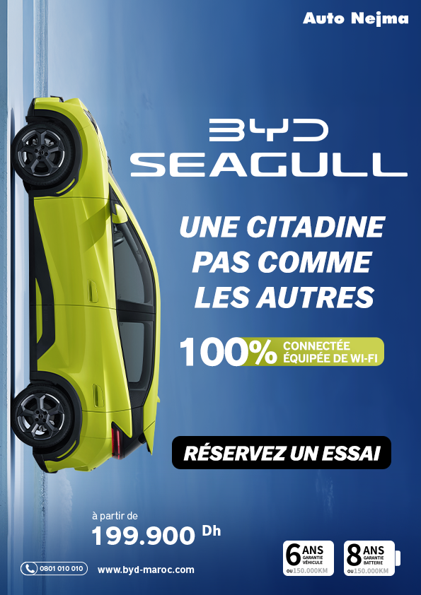 BYD Seagull A4