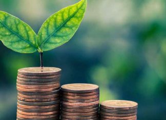 Investissement inclusif: le PNUD Maroc accompagne les PME vertes