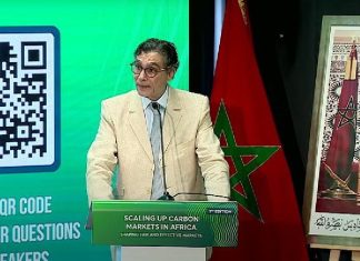 Marchés carbone: lancement au Maroc du « Green Assets Cluster »