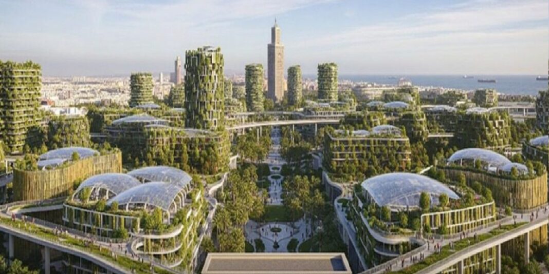 gardenexpo