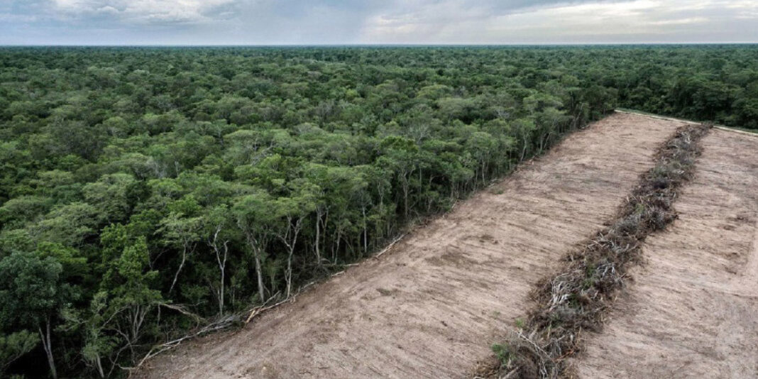 Climat