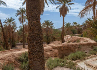 Tata: le 3ème Forum national du patrimoine des oasis du 7 au 9 novembre