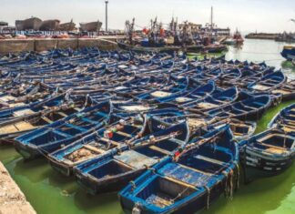 Port de Nador: baisse des débarquements de pêche à fin septembre