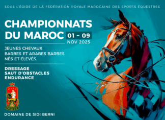 Lancement de la 10e édition des Championnats du Maroc d’Élevage 2025