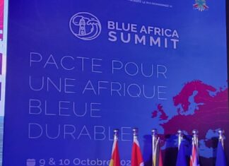 Blue Africa Summit: appel à la création d’un « hub africain-européen pour l’innovation et le financement »
