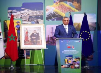 Pour le ministre Zidane, les provinces du Sud constituent un nouveau levier de la coopération maroco-française
