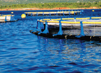 Essaouira : Signature de trois conventions pour le développement de l’aquaculture