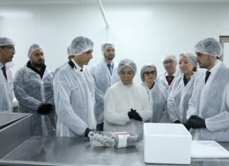 Rehamna lance un projet pionnier d’élevage de crevettes en zone aride