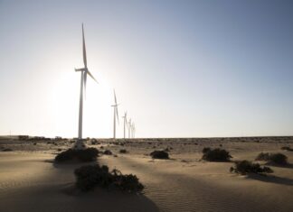 Laâyoune-Sakia El Hamra : Un potentiel énergétique considérable