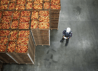 La facture mondiale des importations alimentaires devrait grimper de 8% en 2025