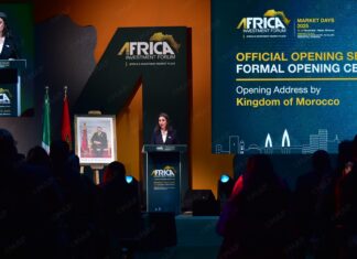 AIF : Le secteur privé appelé à accompagner les grandes transitions africaines