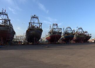 Agadir : Zakia Driouich en visite dans les unités halieutiques et les chantiers navals Souss-Massa