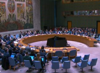 ONU: 15 experts nommés pour évaluer les vulnérabilités multidimensionnelles des pays en développement