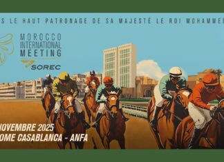 Morocco International Meeting 2025 : Casablanca accueille à nouveau l’excellence hippique marocaine Morocco International Meeting 2025