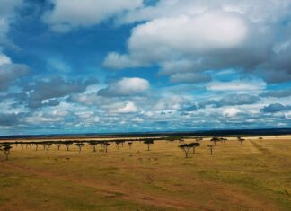 Villes africaines les plus attractives en 2025 : les nouveaux pôles de croissance