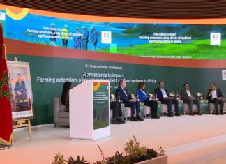 Benguerir : la transformation agricole en Afrique passe par l’innovation