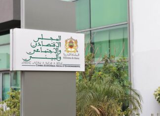 Trois projets structurants adoptés par le CESE pour renforcer le développement durable
