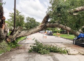 Catastrophes naturelles : recul des pertes en 2025, selon Swiss Re