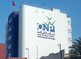 Rabat : le Conseil d’administration de l’ONP valide le plan d’action et le budget 2026