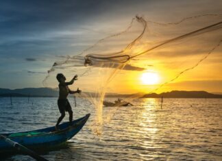 Pêche maritime : plus de 9,57 MMDH de produits commercialisés à fin novembre