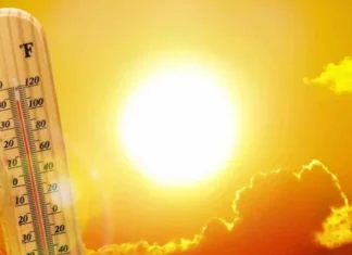2024, année la plus chaude dans la région arabe