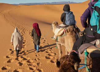 Maroc et Afrique du Sud : le tourisme africain accélère en 2025