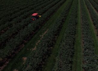 Un souffle positif pour l’agriculture face au retour des pluies