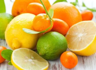Agrumes marocains : l’USDA anticipe une production élevée en 2025/2026