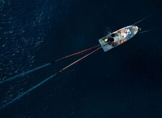 Pêche : 10,11 MMDH de produits commercialisés en 2025