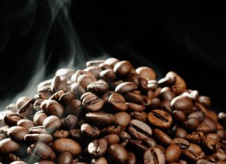 Rwanda : les exportations de café frôlent 150 millions USD en 2025, un signal fort pour le marché marocain