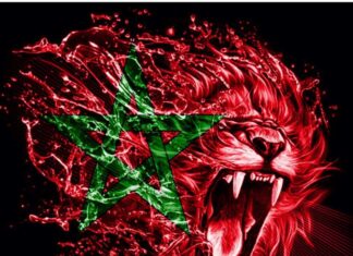 Lion, Aigle ou crocodile…décryptage des surnoms des sélections africaines