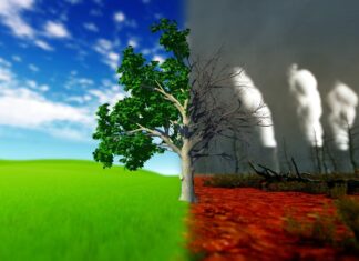 Climat : 2025 parmi les 3 années les plus chaudes jamais enregistrées
