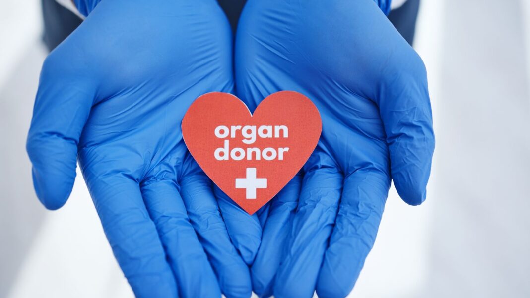 Organ Donor