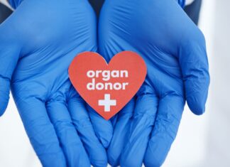 Don d’organes en Chine : plus de 7,3 millions de volontaires enregistrés fin 2025