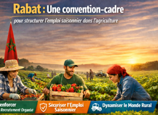 Rabat : une convention-cadre pour structurer l’emploi saisonnier dans l’agriculture