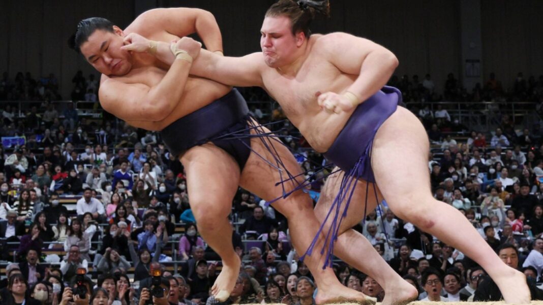 Sumo