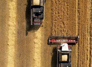 Blé américain : le Maroc boucle ses importations 2025