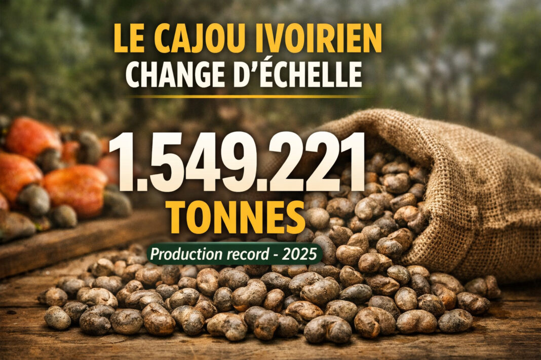 Cajou