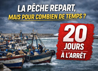 Larache face au mauvais temps: la pêche côtière reprend, mais le répit reste compté