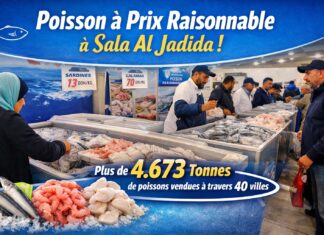 Sala Al Jadida : lancement d’un point de vente de poissons congelés à prix raisonnable