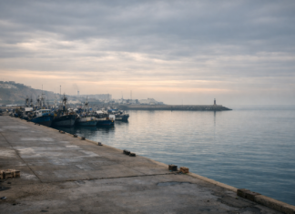 Port de Safi: Baisse de 93 % des débarquements de la pêche en janvier 2026
