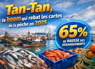 Tan-Tan, le boom qui rebat les cartes de la pêche en 2025