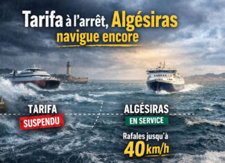 Détroit sous tension : Tarifa coupe la ligne avec Tanger, Algésiras maintient le cap