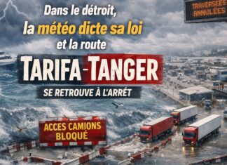 Dans le détroit, la météo dicte sa loi et la route Tarifa Tanger se retrouve à l’arrêt