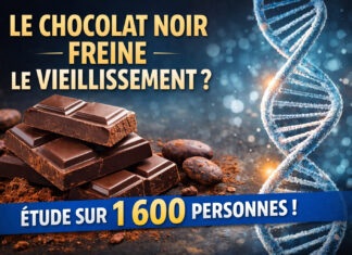 Chocolat noir : quand la nutrition devient un allié du vieillissement en bonne santé