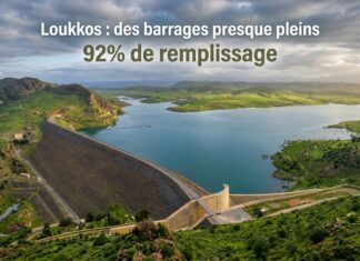 Bassin du Loukkos : précipitations records entre amélioration hydrique et risques d’inondation